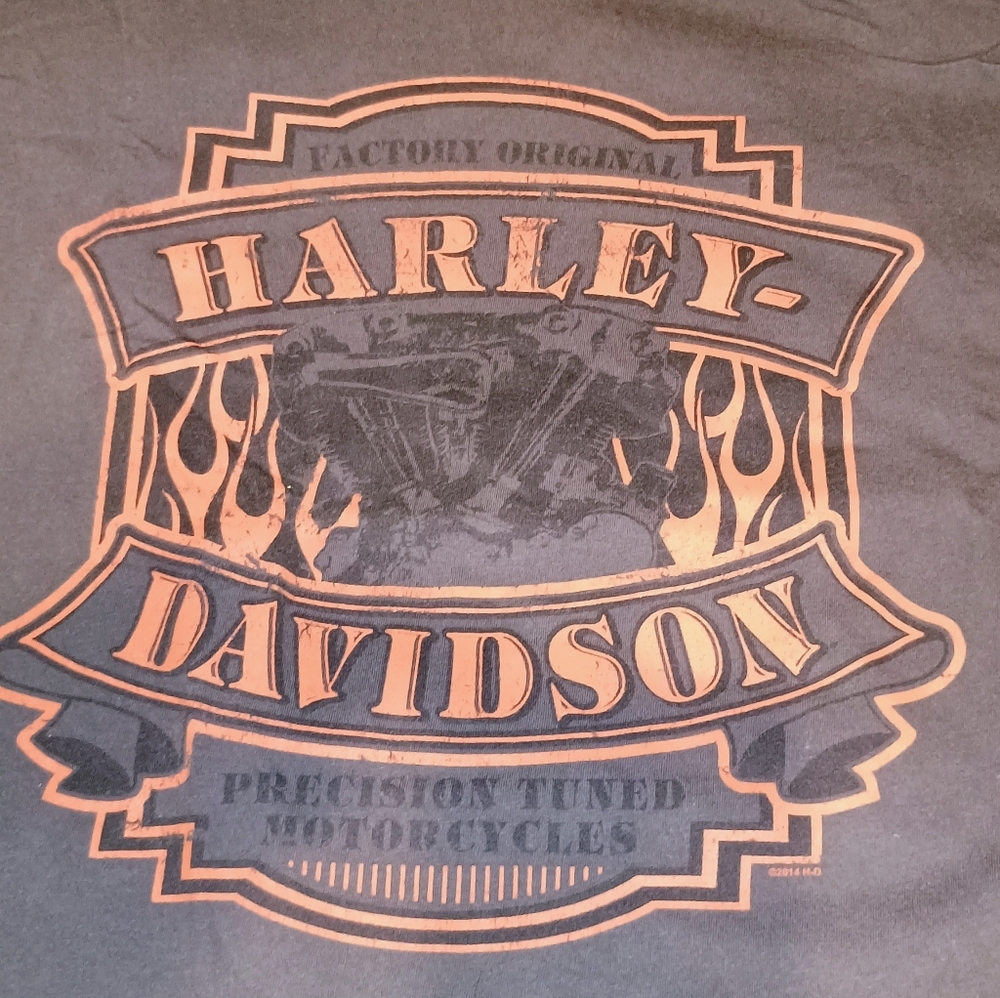 9-X Large Lot Harley-Davidson Men's Sz XL Shirts - Picture 12 of 16